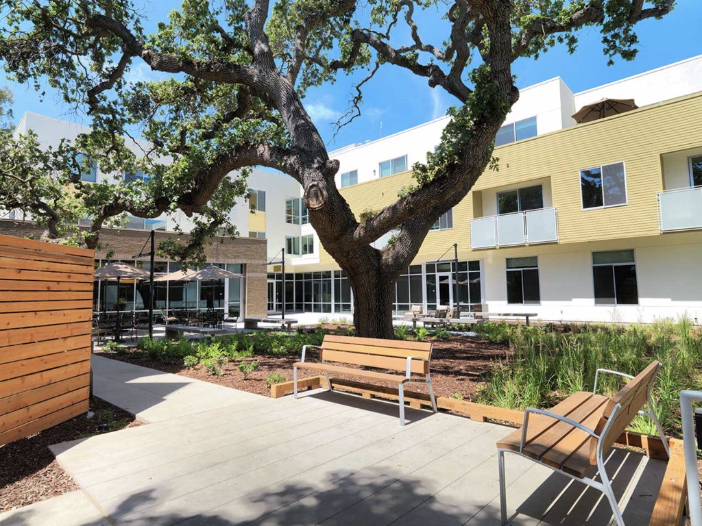 Palo Alto Retirement Community Outdoor Area